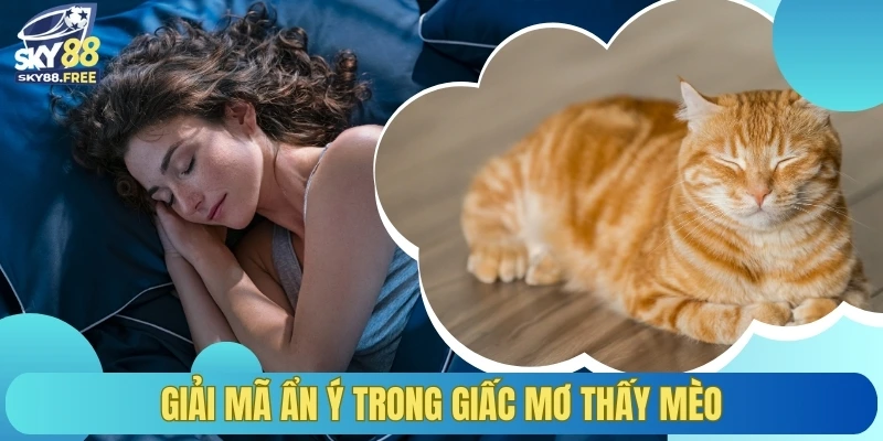 Giải mã ẩn ý trong giấc mơ thấy mèo
