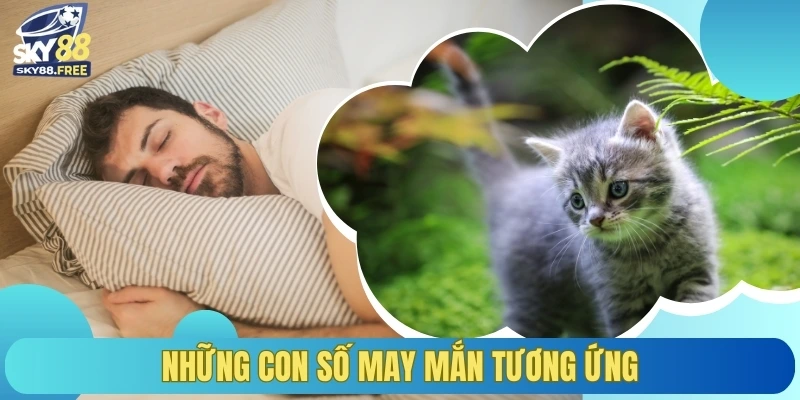 Những con số may mắn tương ứng