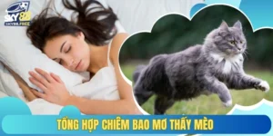 Tổng hợp chiêm bao mơ thấy mèo