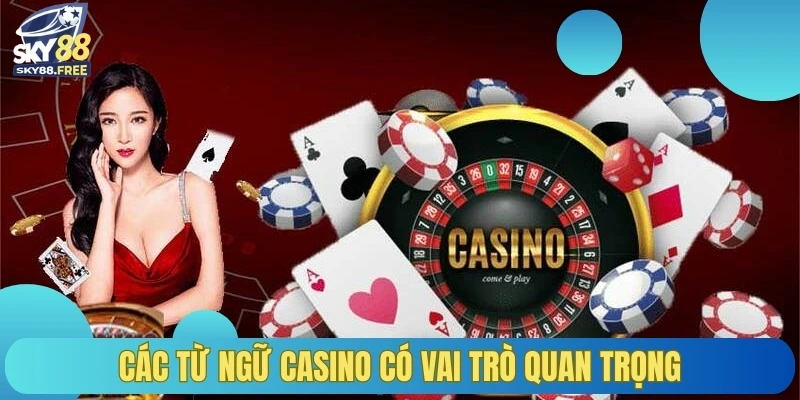 Các từ ngữ casino có vai trò quan trọng