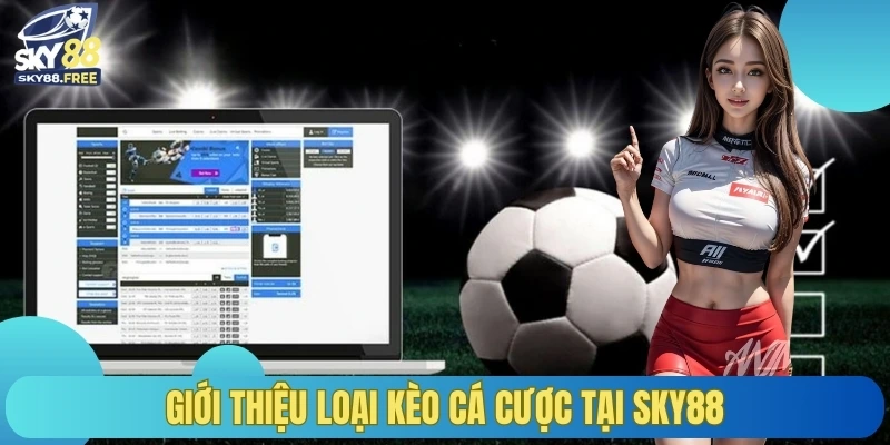 Giới thiệu loại kèo cá cược tại Sky88