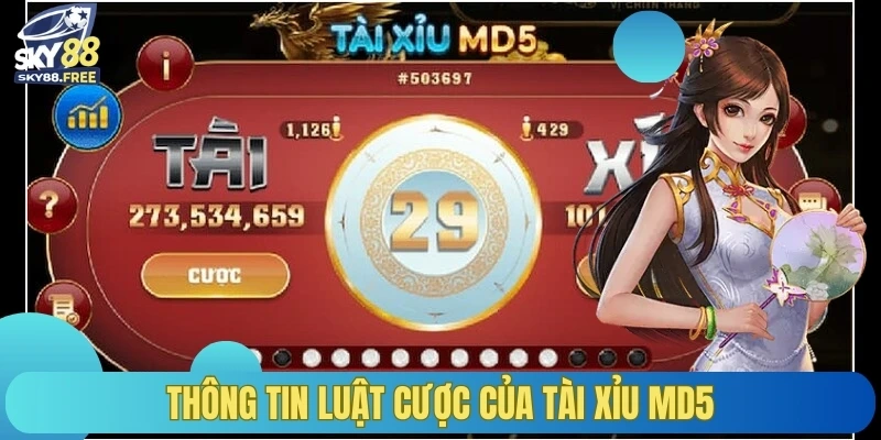 Thông tin luật cược của tài xỉu MD5
