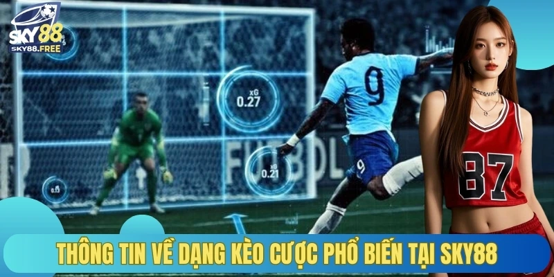 Thông tin về dạng kèo cược phổ biến tại Sky88