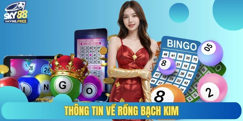 Thông tin về Rồng Bạch Kim